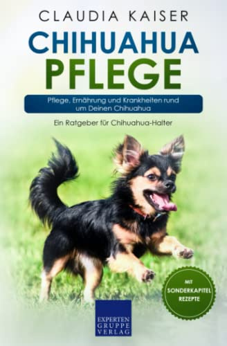 Chihuahua Pflege: Pflege, Ernährung und Krankheiten rund um Deinen Chihuahua