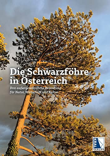 Die Schwarzföhre in Österreich: Ihre außergewöhnliche Bedeutung für Natur, Wirtschaft und Kultur