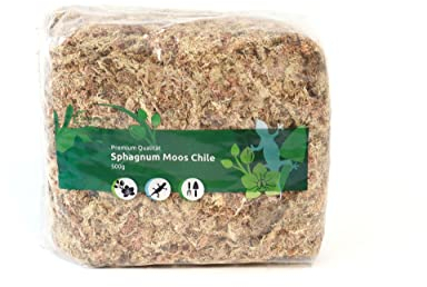 Sphagnum Moos für Terrarium und Orchideen aus Chile 1 x 500 g für Orchideen & Terraristik - Ideal Substrat & Moosstäbe