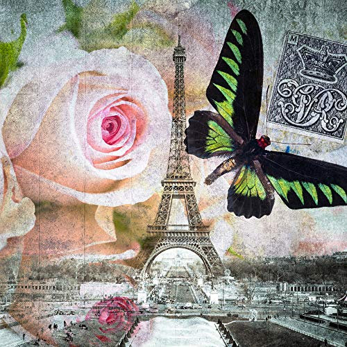 International Graphics - Image prête à l‘accroche - Assaf, Frank - ''Butterfly I''- 30 x 30 cm - Impression directe sur verre acrylique