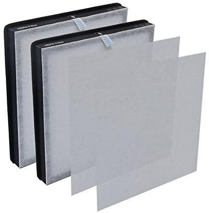 PUREBURG HY4866 Filtro de repuesto compatible con MORENTO & FETION, purificadores de aire WESTHEY HY4866, 1 paquete (2 filtros) H13 HEPA carbón activado 2 en 1