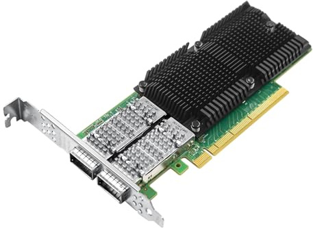 100GbE PCIe 4.0 x16 Mellanox ConnectX-5 Ex, unterstützt InfiniBand、RDMA