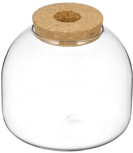BESTonZON Glass Jar Terrarium Plant Vase, Clear Container with Cork Lid | Tabletop Hydroponic Display for Moss, Succulent and Air Plants, Round Micro Landscape Holder for Office and Home Decor
