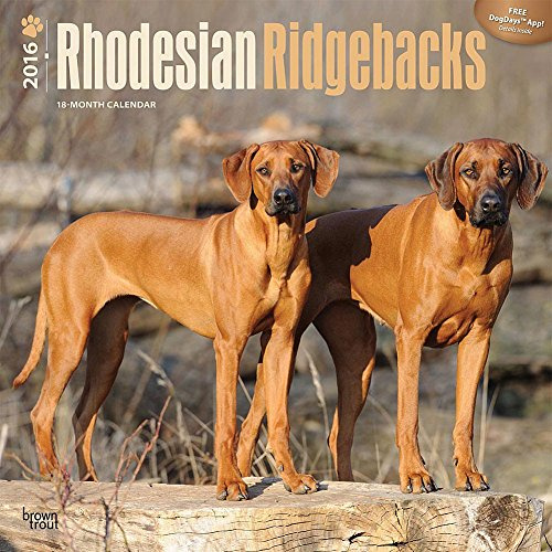 Rhodesian Ridgebacks 2012 (Wall-Kalender)