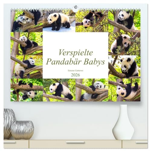 Pandabär Babys (hochwertiger Premium Wandkalender 2026 DIN A2 quer), Kunstdruck in Hochglanz: Niedliche verspielte Pandabär Babys (CALVENDO Tiere)