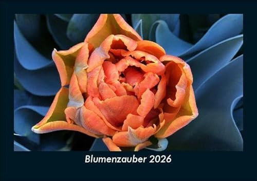 Blumenzauber 2026 Fotokalender DIN A5: Monatskalender mit Bild-Motiven aus Fauna und Flora, Natur, Blumen und Pflanzen