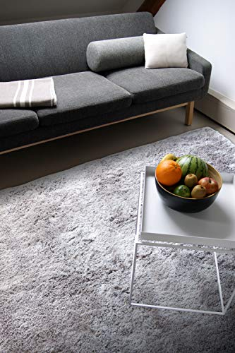 floor factory Moderner Teppich Delight Silber grau 160x230cm - edler Designer Teppich mit flauschig weichem Flor