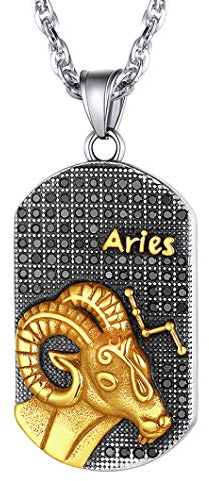 Richsteel Sternzeichen Widder Anhänger Dog Tag Halskette herren kettenanhänger mit Schmuckbox für Papa Mama