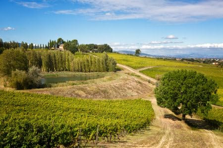 adrium Acryl-Bild 50 x 30 cm: Umbrien, Italien, ländliche Landschaft mit dem kleinen Haus und dem Weinberg (166285770)