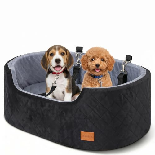 10 cm hoher Hundeautositz für mittelgroße bis große Hunde unter 25 kg | 70 x 42 x 10 cm Innenpolster, 2 Sicherheitsleinen, hundekorb auto rücksitz mit abnehmbarem, waschbarem Bezug