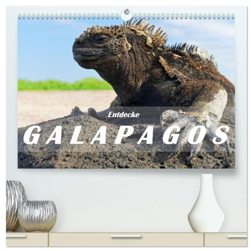 Entdecke Galapagos (hochwertiger Premium Wandkalender 2026 DIN A2 quer), Kunstdruck in Hochglanz: Die Einzigartigkeit von Galapagos besteht in der ... eine eindrückliche Tierwelt. (CALVENDO Orte)