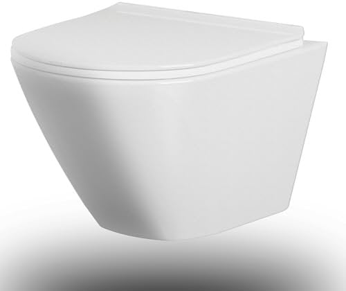 Back to Wall Toilets, Wall Hung WC Toilet, Soft Close Seat, Rimless Pan for Small Bathrooms, No Included Toilet Concealed Cistern, 18.9”D x 14.2”W x14.7” H,Findepot