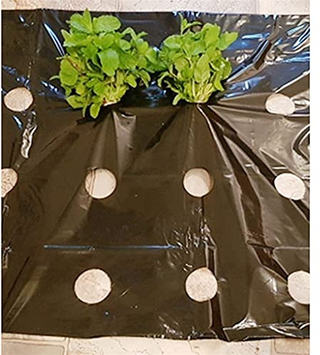ApuaVireo&Co 5~50 m 5 Löcher Landwirtschaftliche Gemüsepflanzen Abdeckung Schwarz Grow Film Gewächshaus Warm halten Anti Gras Kunststoff Mulch Film(50M)
