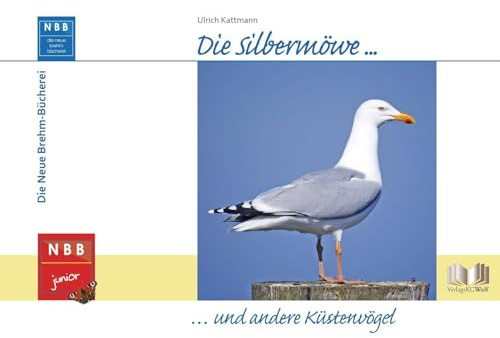 Die Silbermöwe und andere Küstenvögel (NBB junior)