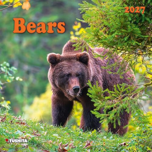 Bears 2027: Kalender 2027 (Wonderful World)