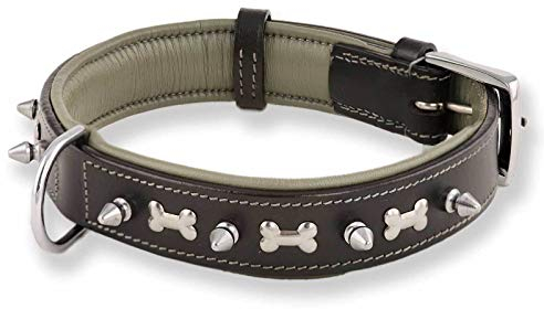 Monkimau Hundehalsband - Halsband für Hunde aus Leder mit Nieten gepolstert schwarz (S-M: 30mm x 50cm)