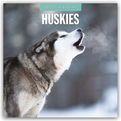 Huskies – Husky – Huskys 2025 – 16-Monatskalender: Original Red Robin Publishing Ltd-Kalender [Mehrsprachig] [Kalender] (Wall-Kalender)