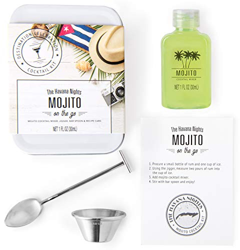 Thoughtfully Cocktails, Set regalo in latta con miscelatore per cocktail di champagne, include miscelatore per cocktail Peach Bellini, misurino, cucchiaio da bar e scheda di ricetta (non alcol)