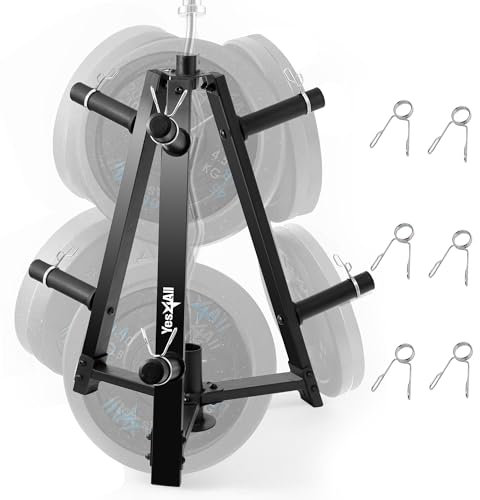 Yes4All Weight Rack, 1 & 2-Inch Plate Bumper Plate Rack, 350 lbs Capacity Barbell Weight Rack for Home Gym Training