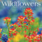 Wildflowers 2021 Calendar