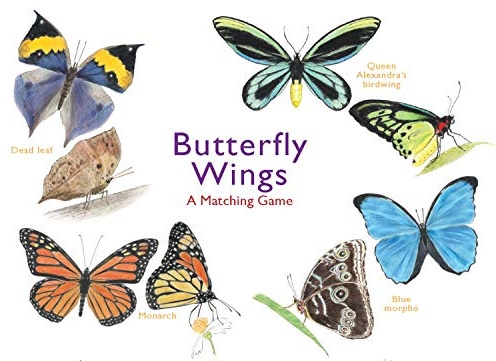 Butterfly Wings: A Matching Game
