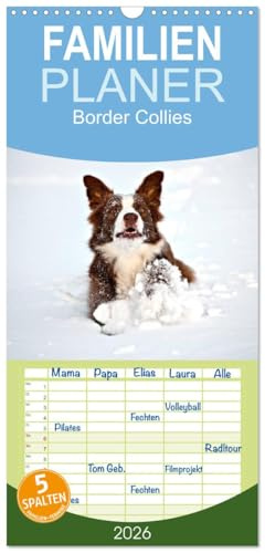 Familienplaner 2026 - Border Collies mit 5 Spalten (Wandkalender, 21 cm x 45 cm), CALVENDO: Faszination Border Collies (CALVENDO Tiere)