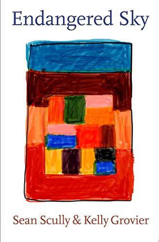 Endangered Sky: Sean Scully & Kelly Grovier (Zeitgenössische Kunst)