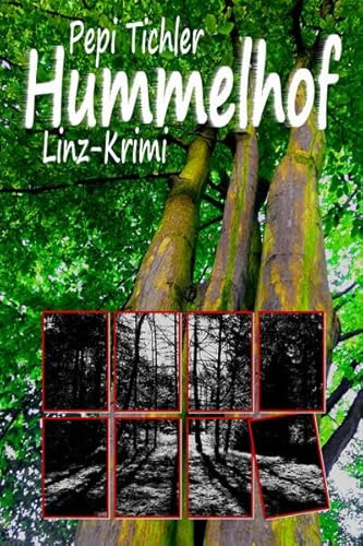 Hummelhof: Linz-Krimi