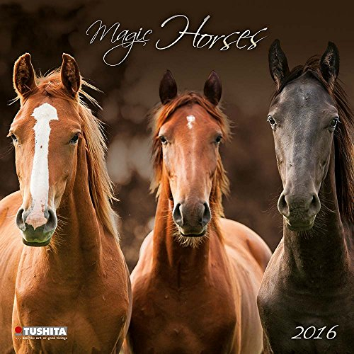 Magic Horses 2016: Kalender 2016 (What a Wonderful World)