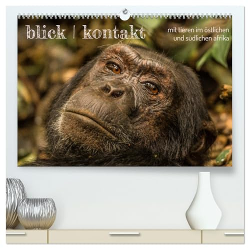 blick kontakt mit tieren im östlichen und südlichen afrika (hochwertiger Premium Wandkalender 2026 DIN A2 quer), Kunstdruck in Hochglanz: tierbeobachtungen (CALVENDO Tiere)