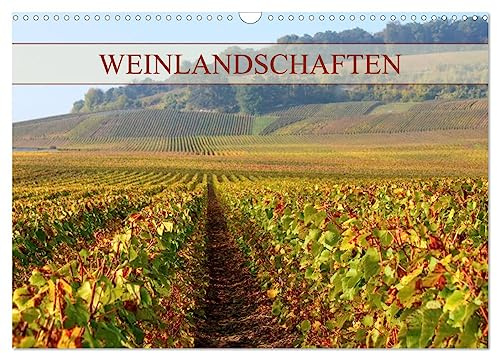 Weinlandschaften (Wandkalender 2026 DIN A3 quer), CALVENDO Monatskalender: Entdecken Sie traumhafte Weinlandschaften in deutschen und französischen Anbaugebieten (CALVENDO Natur)