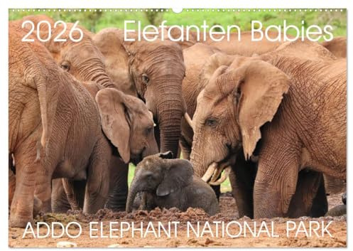 ADDO ELEPHANT NATIONAL PARK Elefanten Babies (Wandkalender 2026 DIN A2 quer), CALVENDO Monatskalender: Addo Elephant National Park ist der 3. Größte ... Elefanten Babies im Addo. (CALVENDO Tiere)