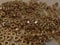M4 BRASS FULL NUTS SOLID BRASS (4mm NUTS 25-PACK)