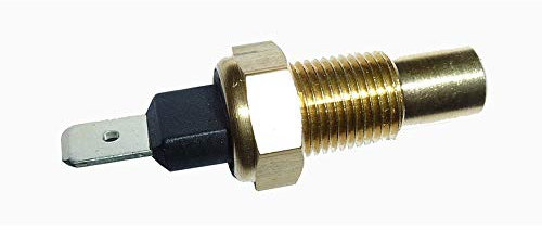 SONDA TERMOSTATO MINARELLI 50