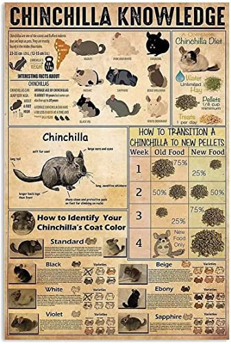 Metallschilder mit Chinchilla-Wissen, Aluminium-Poster, Chinchilla, beliebte Wissenschaft, Schule, Garten, Bar, Garage, Club, Bauernhaus, Hinterhof, Zuhause, Wanddekoration, Geschenk, 30,5 x 40,6 cm