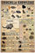 Metallschilder mit Chinchilla-Wissen, Aluminium-Poster, Chinchilla, beliebte Wissenschaft, Schule, Garten, Bar, Garage, Club, Bauernhaus, Hinterhof, Zuhause, Wanddekoration, Geschenk, 30,5 x 40,6 cm