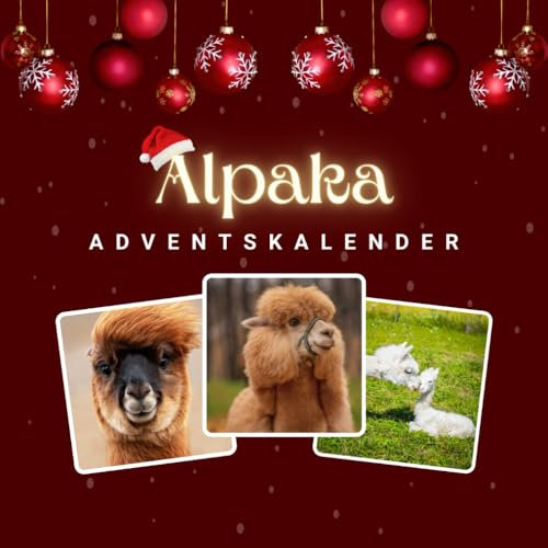 Alpaka Adventskalender: 24 faszinierende Bilder und verblüffende Fakten über Alpakas bis Weihnachten