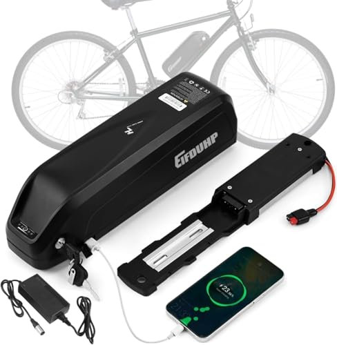 EIFDUHP Batteria Ebike 36V 20AH, Batteria Litio Bici Elettrica per 750W 500W 350W 250W Motore Bicicletta, con Porta USB, Caricabatterie, Piastra Base 5 Pin e Cella Grado A