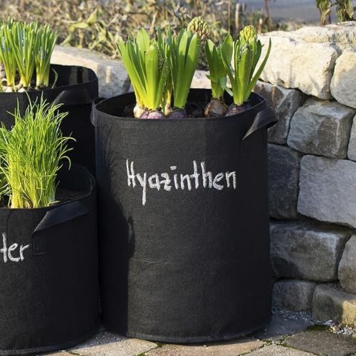 Meister 9960590 - Saco para Plantas (43 L, 45 x 35 cm, 5 Unidades, Permeable al Aire y al Agua, Fieltro)