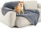 BEDSURE wasserdichte Hundedecke für große Hunde - 100 x 120 cm Langer Plüsch Hundedecke waschbar, Haustier Decke flauschig und weich, Schutzdecke Hundesofa, Katzendecke für Katzen, Grau