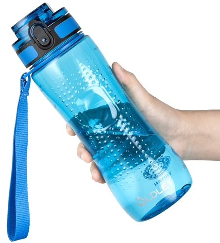 OLDLEY 750ml/25oz Sports Water Bottles, BPA Free Drinking Bottles for School Plastic Reusable Clear Water Bottle Leakproof & Filter & No Straw & Time Markings for Gym Sports Cycling (Transparent Blue)
