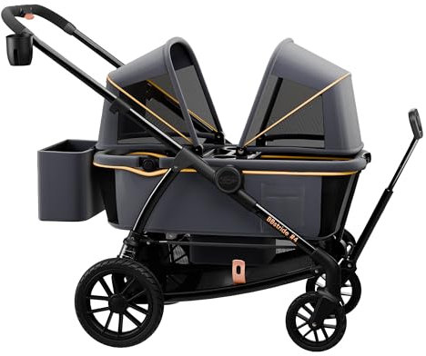 Pamo Babe Doppel-Kinderwagen, Tandem-Kinderwagen für 2 Kinder, mit verstellbarem Griff, wasserdicht und sonnenfest, große herausnehmbare Aufbewahrungskörbe