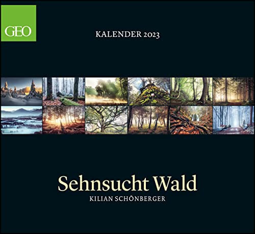 GEO Kalender: Sehnsucht Wald 2023 - Wand-Kalender - Natur-Kalender - 60x55