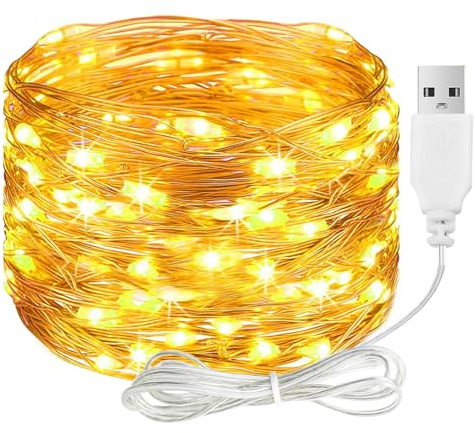 ALEGRE LED Lichterkette mit USB,10M 100 LED Kupferdraht Lichterkette mit Stecker,Wasserdicht Warmweiß Lichterketten Innen Außen,Lichterketten LED für DIY Hochzeit Deko,Weihnachten,Balkon,Schlafzimmer