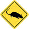 Samunshi® Ratte Warnschild Warndreieck Aufkleber Achtung Vorsicht Tier - 8x8cm mehrfarbig