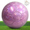 KWJEIULSOQ Pallone da calcio taglia 5, pallone da calcio viola, calcio per bambini, unisex, 2024 Championsleague, palla da calcio e da allenamento, taglia 5, per bambini e adulti, per allenamento