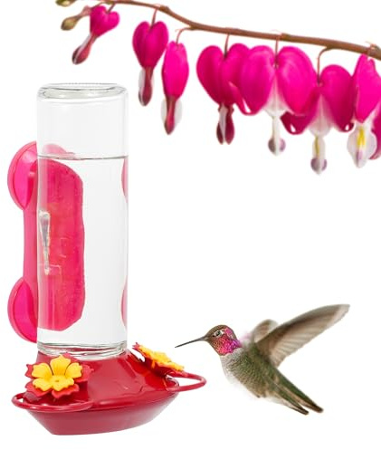 Perky Pet 455-2 Mounted 445-2 Glass Window Hummingbird Feeder, Red – 14 oz