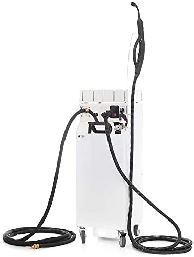 EOLO Pulitore AV05T DUAL RA Multiuso Pulizia Professionale 2 Uscite Vapore Disinfestazione Igienizzazione Superfici Ambienti Studi Medici Officine Orefici Anticalcare Made in Italy Garanzia 5 Anni A+