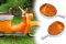 BISOMO 2x Blinkleuchte Ochsenauge, Blinker mit E-Zeichen für Simson KR51, SR4-2, SR4-3, SR4-4, MZ ES Trophy 175 250, Gehäuse weiß