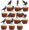 VIKY® 24 Stück Halloween Cupcake Toppers, Krähen Topper, Party Kuchen Deko, Tortendeko Muffin, Dekoration, Motto Partyzubehör